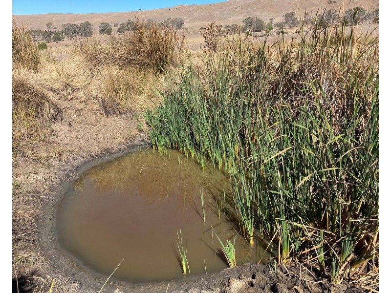 145 D Collins Road, Milendella SA 5237