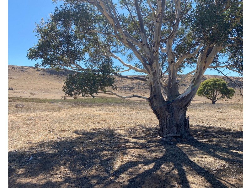 145 D Collins Road, Milendella SA 5237