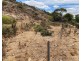 24 Cliff View Drive, Wongulla SA 5238