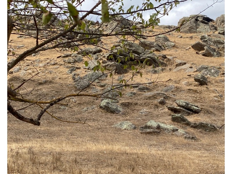 825 Randell Road, Tungkillo SA 5236