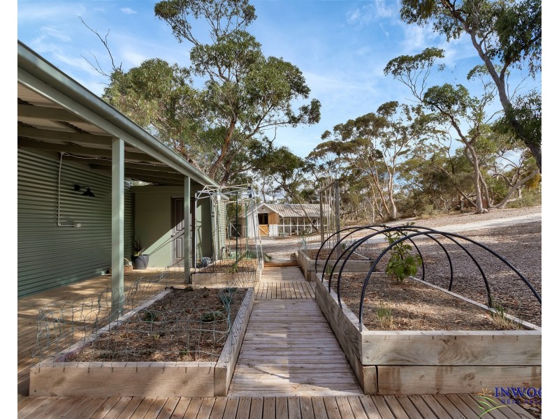 1103 Black Hill Road, Cambrai SA 5353