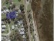 18 Trethewey Court, American River SA 5221