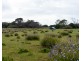3 Cape Hart Road, Porky Flat SA 5222