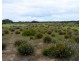 3 Cape Hart Road, Porky Flat SA 5222