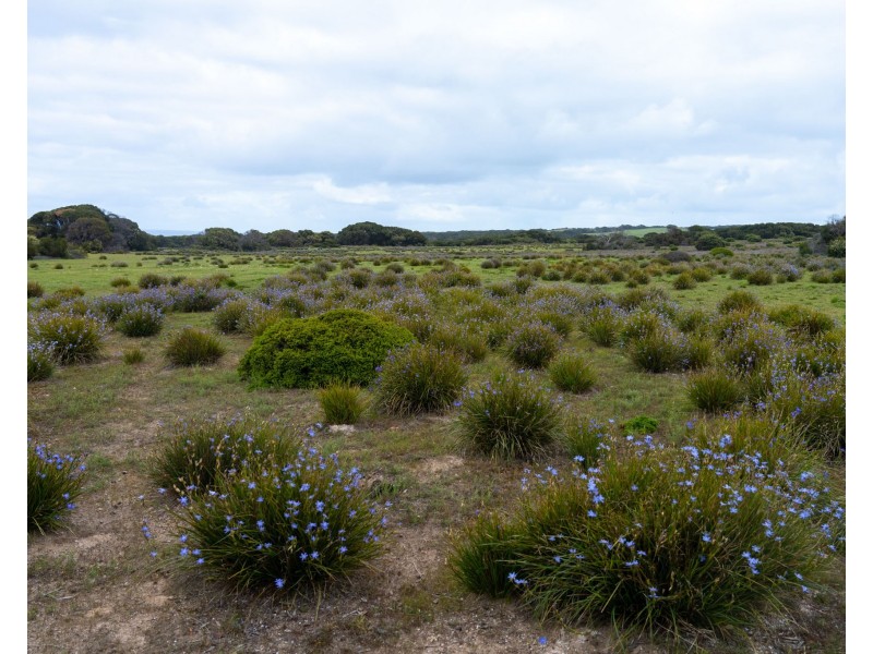 3 Cape Hart Road, Porky Flat SA 5222