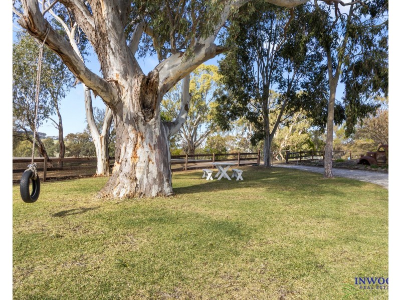 1 Eckerts Street, Springton SA 5235
