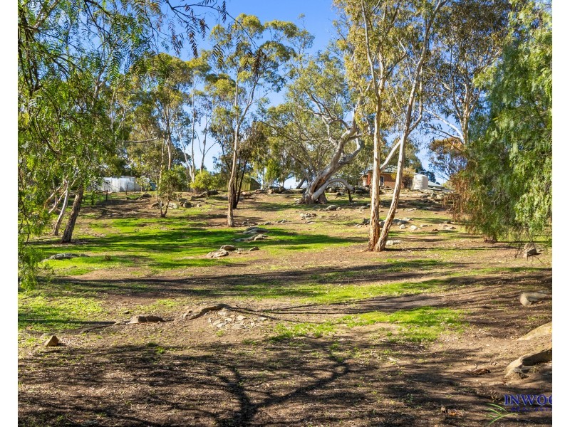 1 Eckerts Street, Springton SA 5235