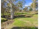 1 Eckerts Street, Springton SA 5235