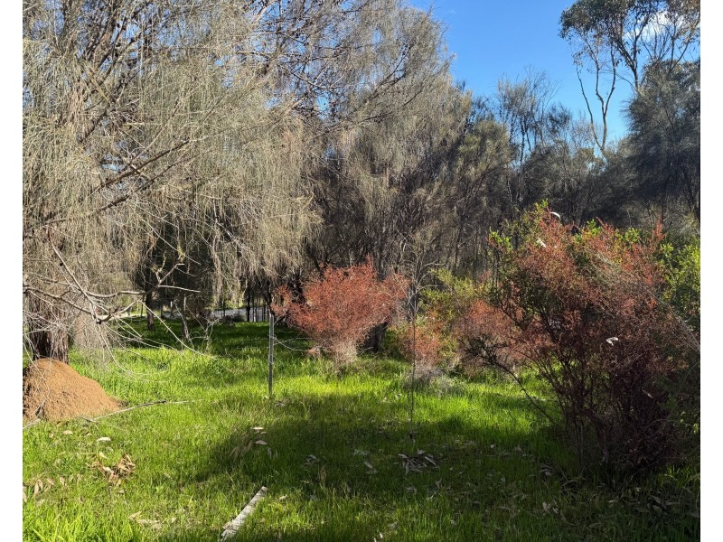 10 Longview Road, American River SA 5221