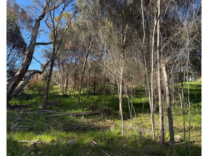 10 Longview Road, American River SA 5221