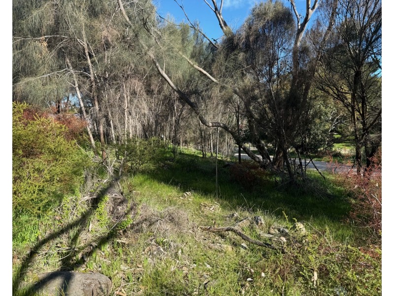 10 Longview Road, American River SA 5221