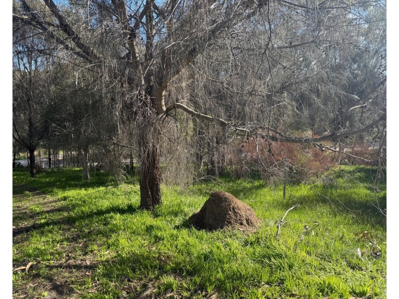10 Longview Road, American River SA 5221