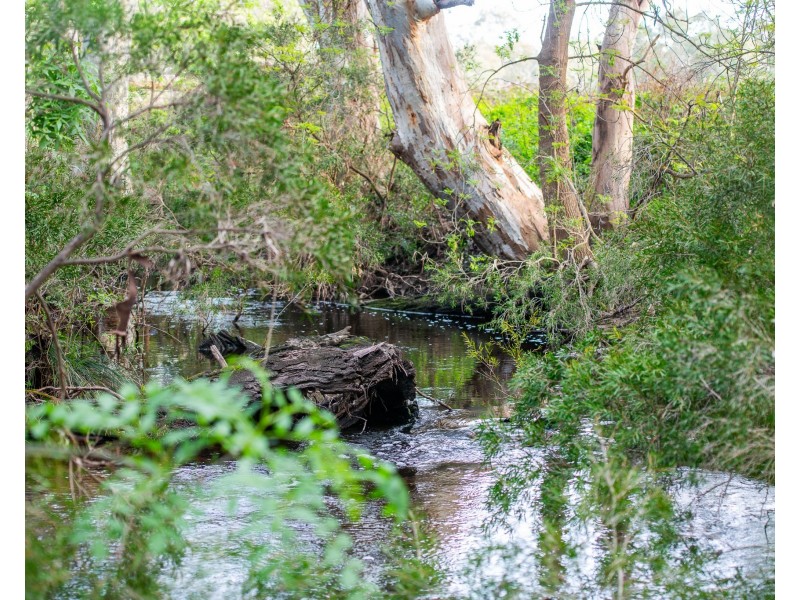 1552 Bull Creek Road, Ashbourne SA 5157