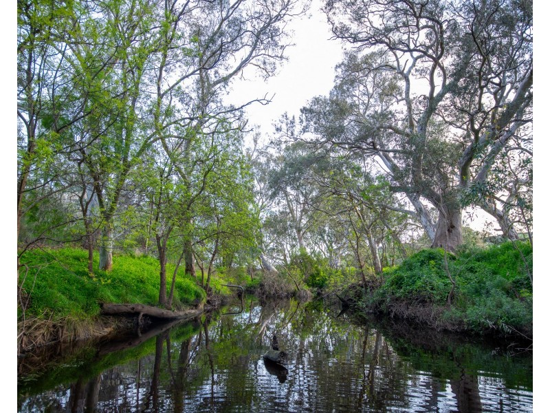 1552 Bull Creek Road, Ashbourne SA 5157