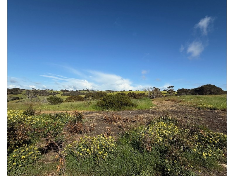 9 & 11 Longview Road, American River SA 5221