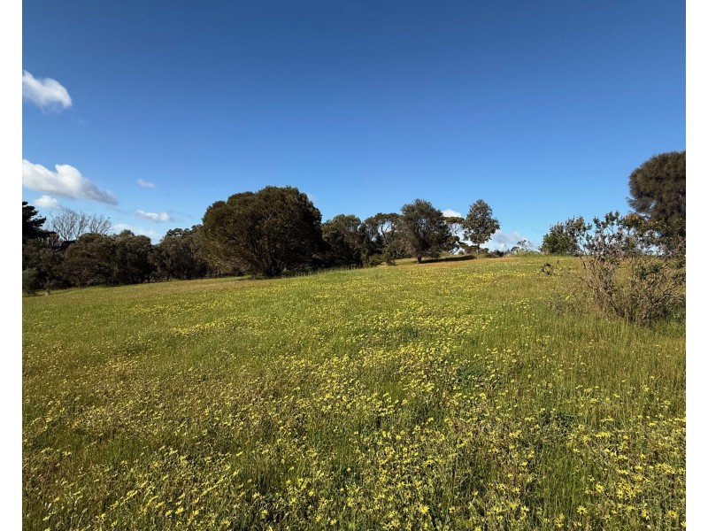 9 & 11 Longview Road, American River SA 5221