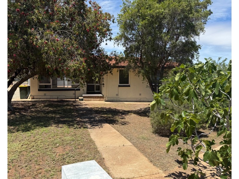 6 Reed Avenue, Mannum SA 5238
