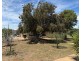 6 Reed Avenue, Mannum SA 5238