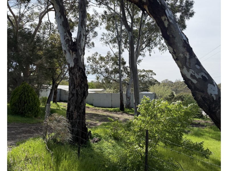 8 William Street, Eden Valley SA 5235