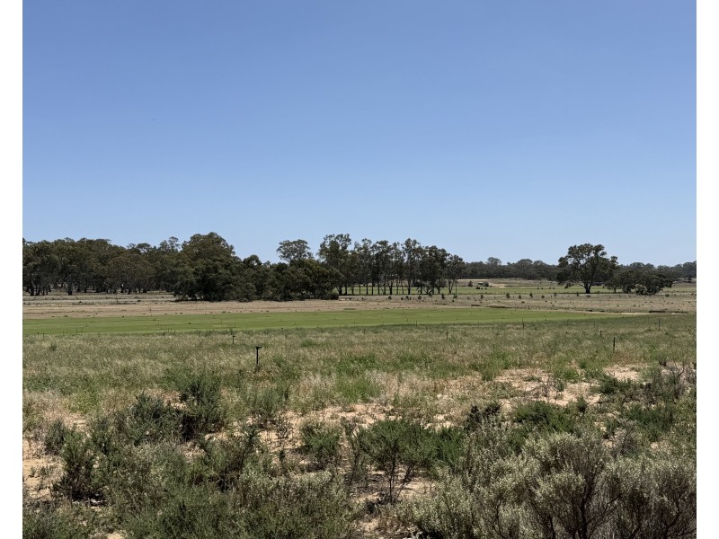 390 Black Hill Road, Cambrai SA 5353