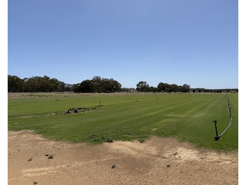 390 Black Hill Road, Cambrai SA 5353