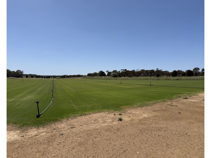 390 Black Hill Road, Cambrai SA 5353