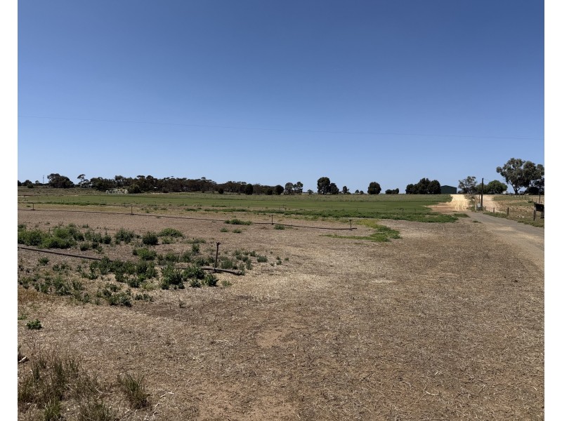 390 Black Hill Road, Cambrai SA 5353