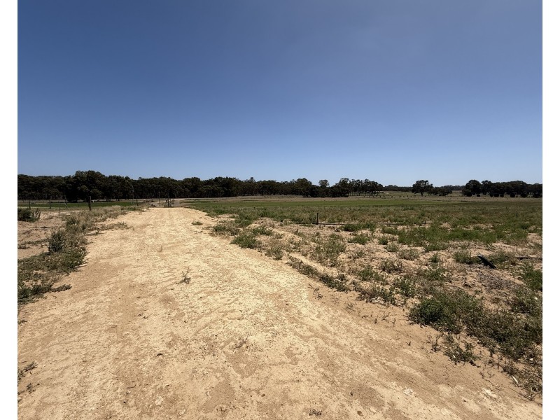 390 Black Hill Road, Cambrai SA 5353