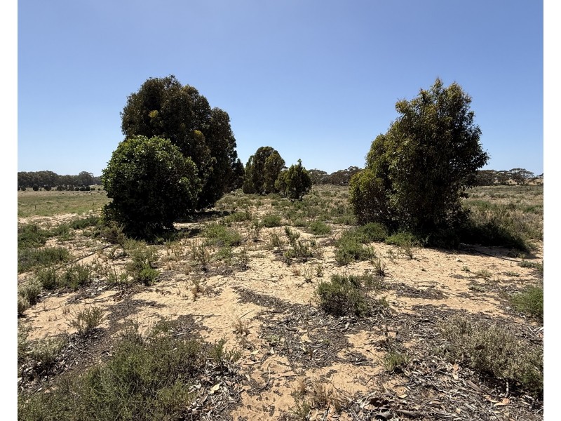 390 Black Hill Road, Cambrai SA 5353