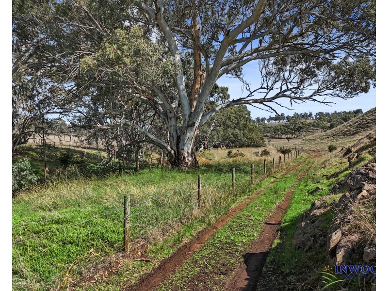 223 The Glen Road, Harrogate SA 5244
