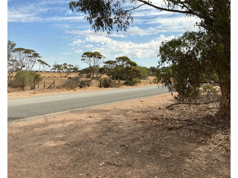 963 Pinery Road, Pinery SA 5460