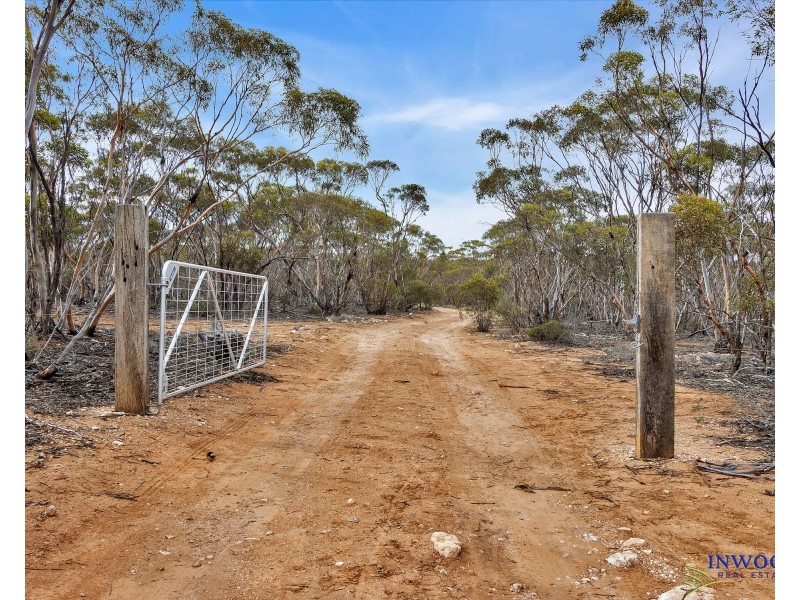 52 Tumbella Road, Fisher SA 5354