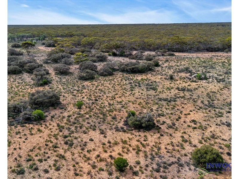 52 Tumbella Road, Fisher SA 5354