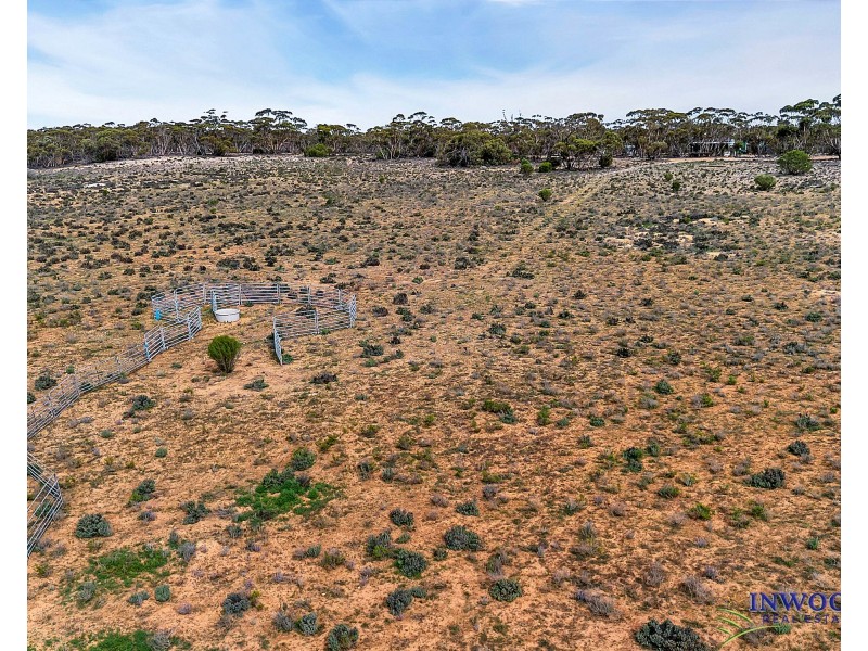 52 Tumbella Road, Fisher SA 5354