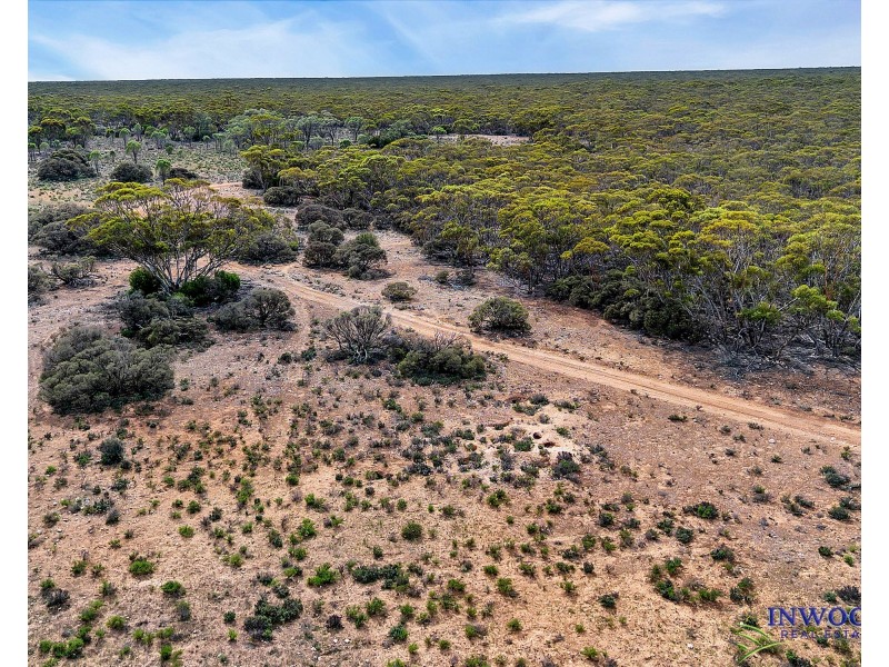 52 Tumbella Road, Fisher SA 5354