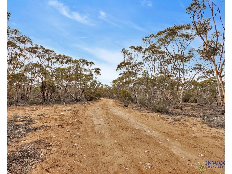 52 Tumbella Road, Fisher SA 5354