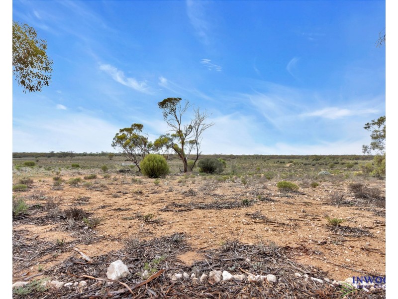 52 Tumbella Road, Fisher SA 5354