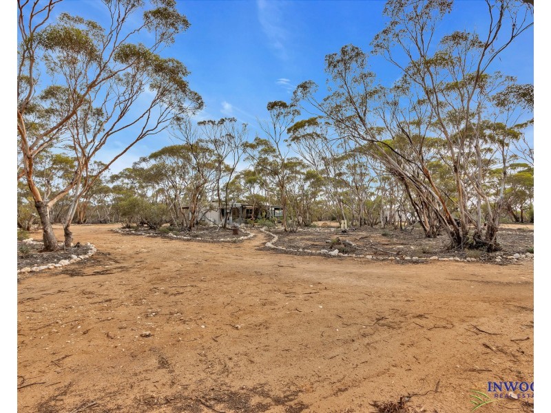 52 Tumbella Road, Fisher SA 5354