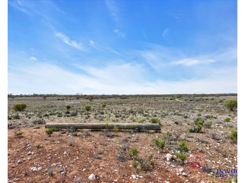 52 Tumbella Road, Fisher SA 5354