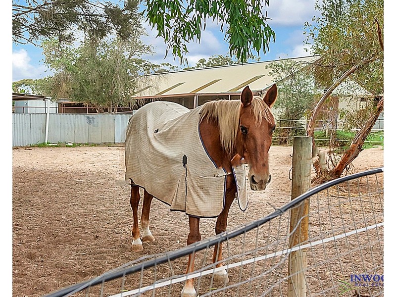 19 Alabar Crescent, Globe Derby Park SA 5110