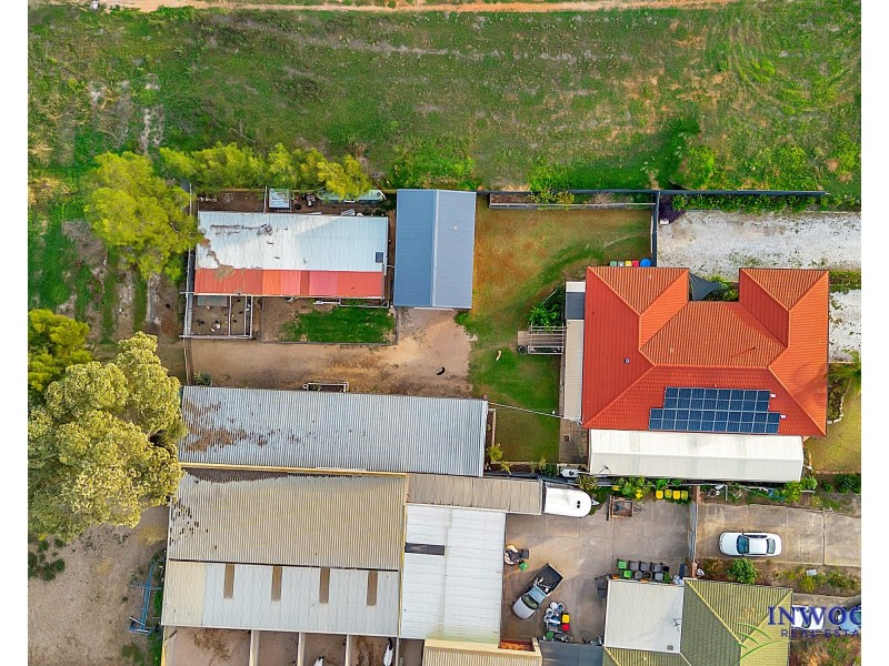 19 Alabar Crescent, Globe Derby Park SA 5110