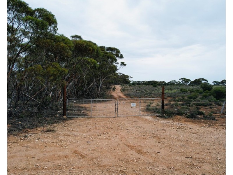 5 & 221 Stott Highway and Pine Hut Road, Sedan SA 5353