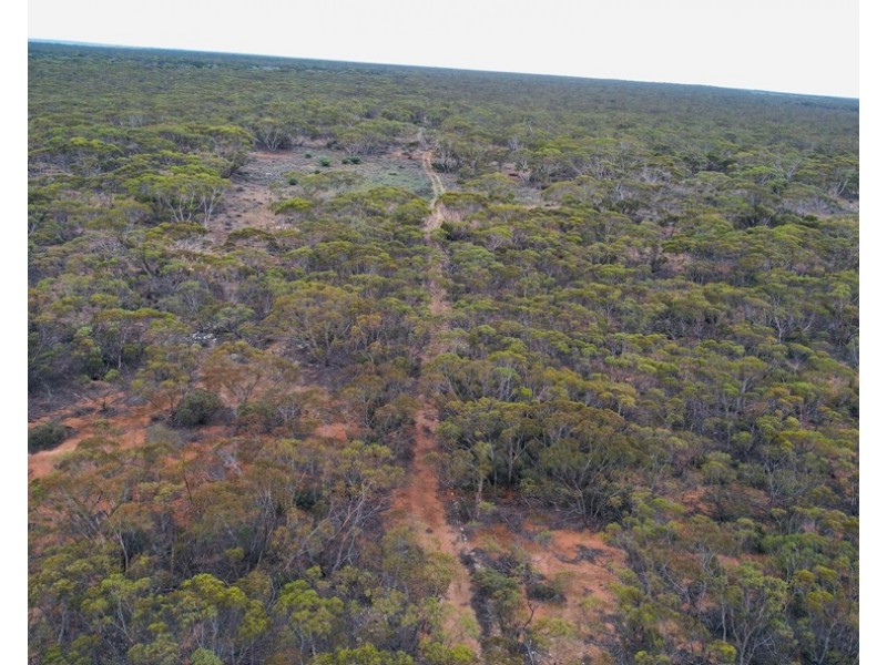 5 & 221 Stott Highway and Pine Hut Road, Sedan SA 5353