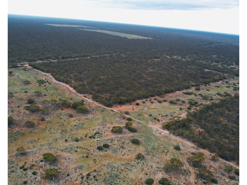 5 & 221 Stott Highway and Pine Hut Road, Sedan SA 5353