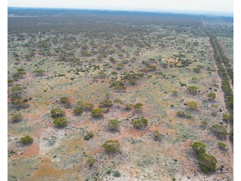 5 & 221 Stott Highway and Pine Hut Road, Sedan SA 5353