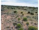 5 & 221 Stott Highway and Pine Hut Road, Sedan SA 5353