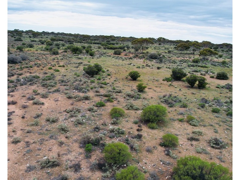 5 & 221 Stott Highway and Pine Hut Road, Sedan SA 5353