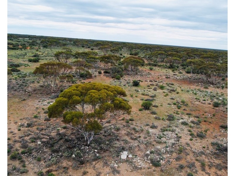 5 & 221 Stott Highway and Pine Hut Road, Sedan SA 5353