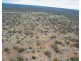 5 & 221 Stott Highway and Pine Hut Road, Sedan SA 5353