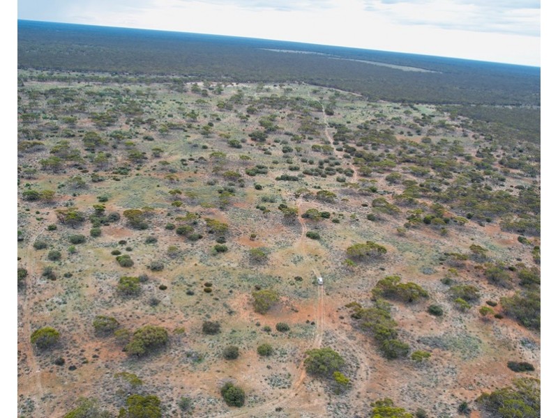 5 & 221 Stott Highway and Pine Hut Road, Sedan SA 5353